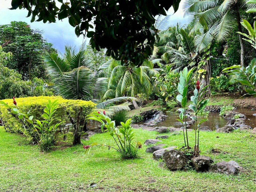 Les Jardins d’eau de Vaipahi