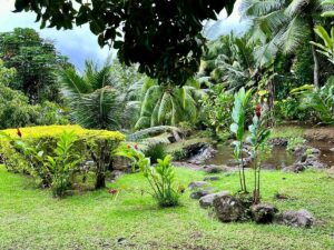 Les Jardins d’eau de Vaipahi