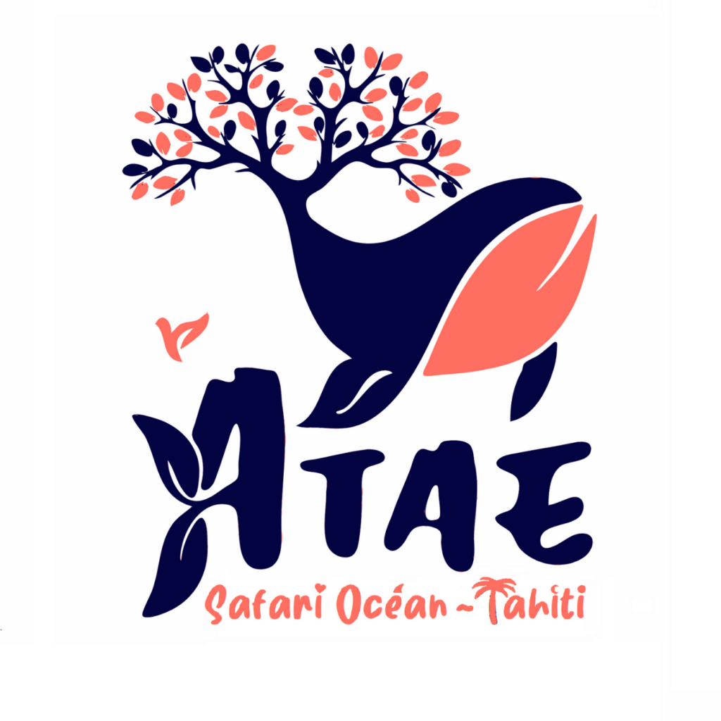 ATAE : Safari Océan – Tahiti