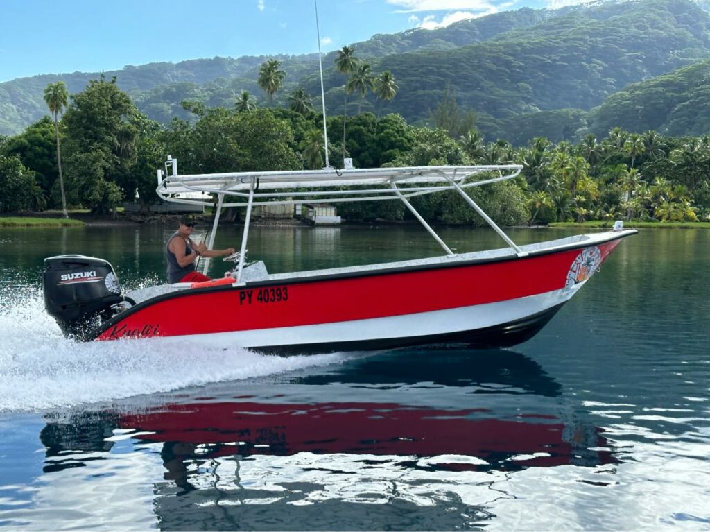 Tahiti Boat Excursion & Surf