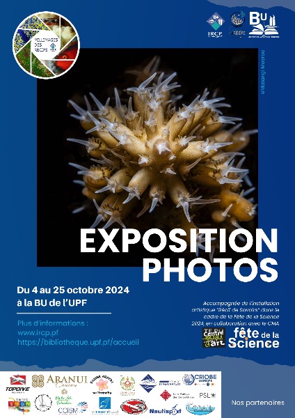 Millimage des récifs : les 1000 mots derrière l’image