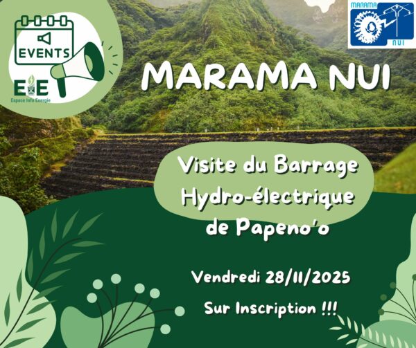 Visite de la centrale hydroélectrique à Papenoo