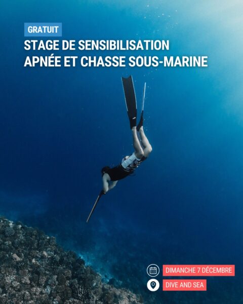 Stage de prévention sécurité chasse et apnée