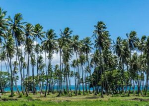 Tahiti Welcome Tours