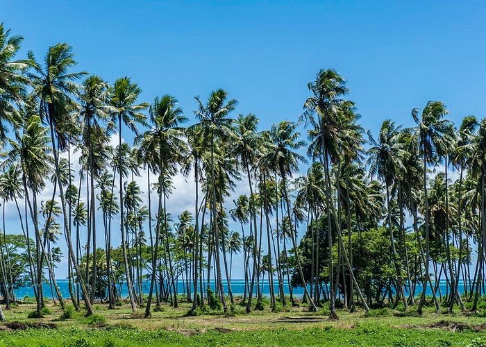 Tahiti Welcome Tours