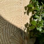 Salon des Australes 2026