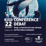 Conférence-débat pour la protection des cétacés